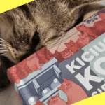 Porady na Przetrwanie Horroru